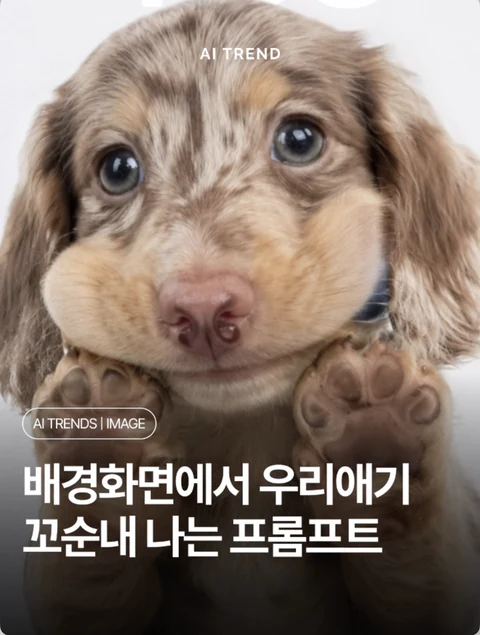 배경화면에서 우리애기 꼬순내 나는 프롬프트