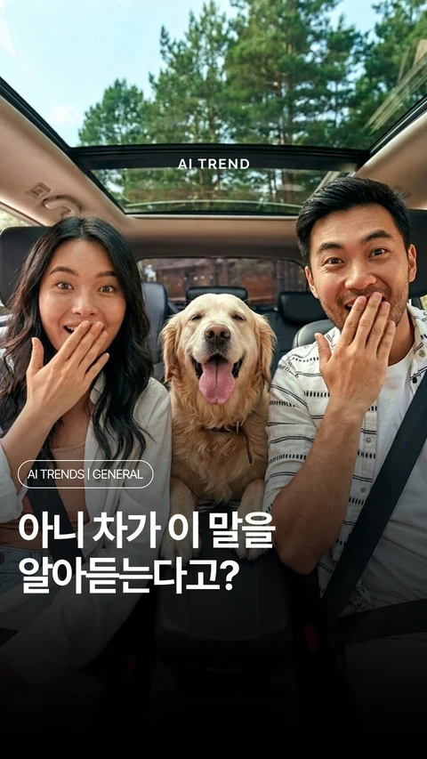 아니 차가 이 말을 알아듣는다고?
