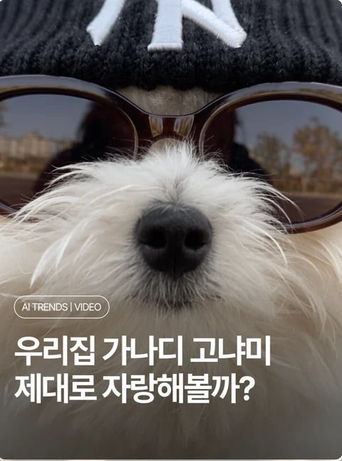 우리집 가나디 고냐미 제대로 자랑해볼까?